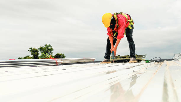 Best Roofing for New Construction  in St Paul, NE